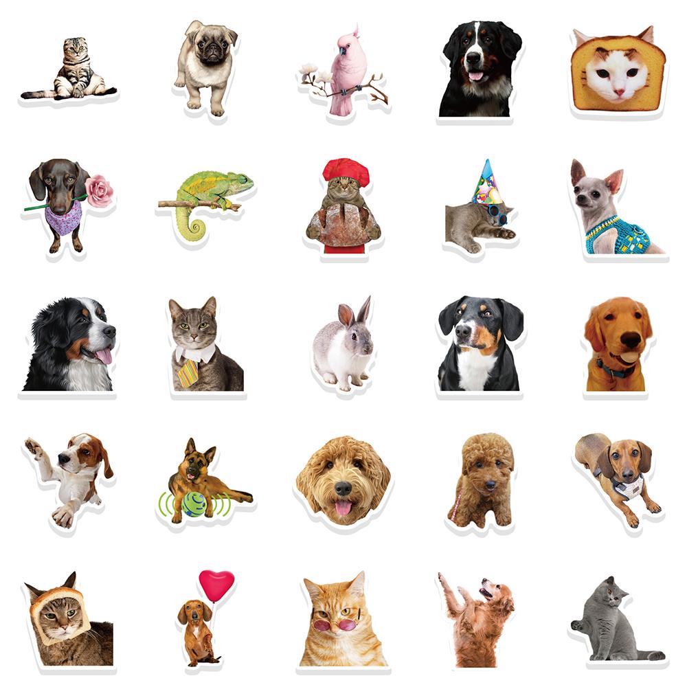 10/30/50pcs Funny Animal MEME Cat Dog Graffiti Stickers Cute Decoration Toy Decals DIY Notebook Phone Luggage Waterproof Sticker