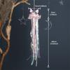 Handhold Light Up Jellyfish Lamp Toy Glowing Chandeliers Ambient Light for Restaurant Girls Kids Holiday Room Ornament