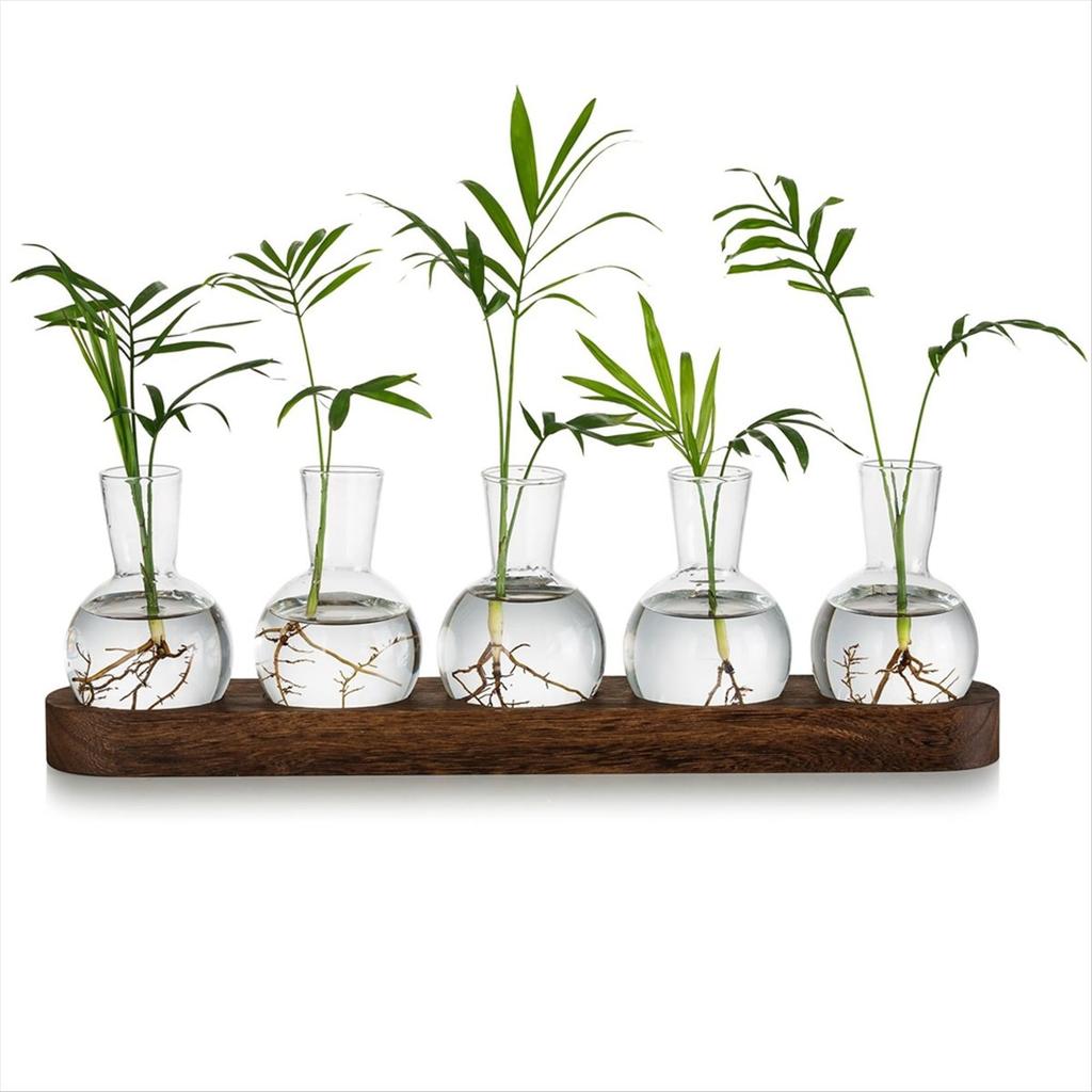 BHBL Plant Terrarium Propagation Station, Glass Planter Bulb Vase with Wooden Tray, Modern Bud Vases for Living Room