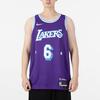 Nike NBA Lebron James Los Angeles Lakers 2021/22 Fan Edition Jersey #6 Men's DB4032-506