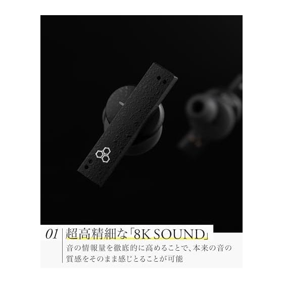 Flagship Class Completely Wireless Earphones Final ZE8000 BLACK IPX4/aptX Adaptive/Snapdragon Sound compatible/Music/Remote work/Sports