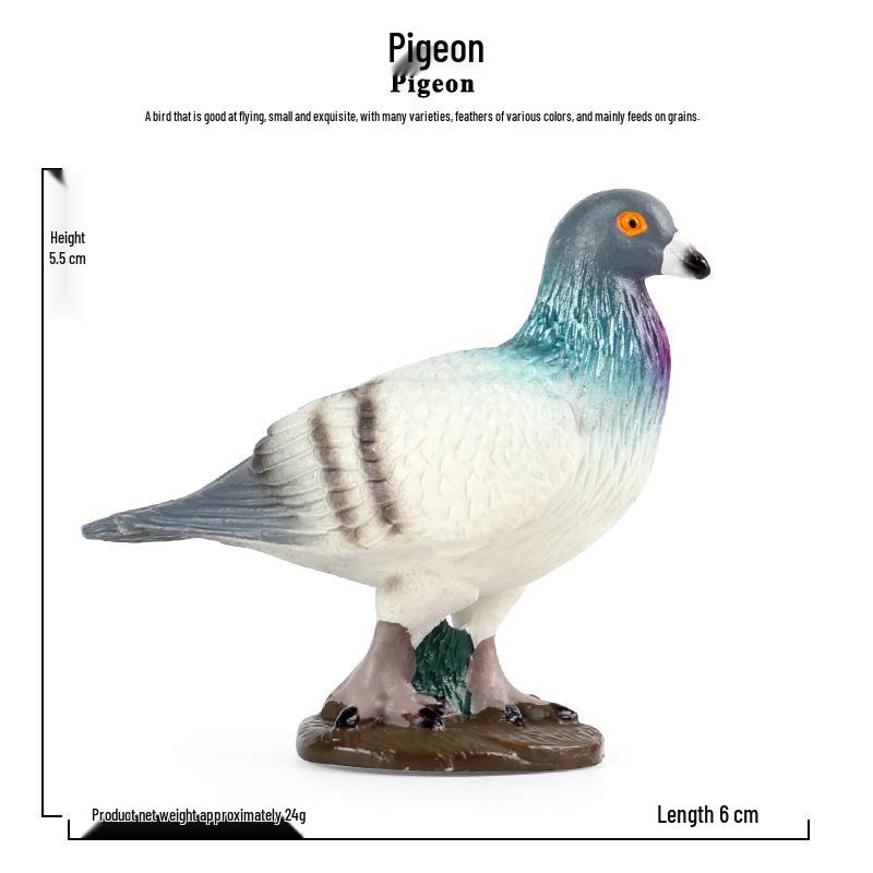 Montessori Bird Models: Realistic Heartwood Pigeon, Dove & Homing Pigeon Cognitive Toys for Children