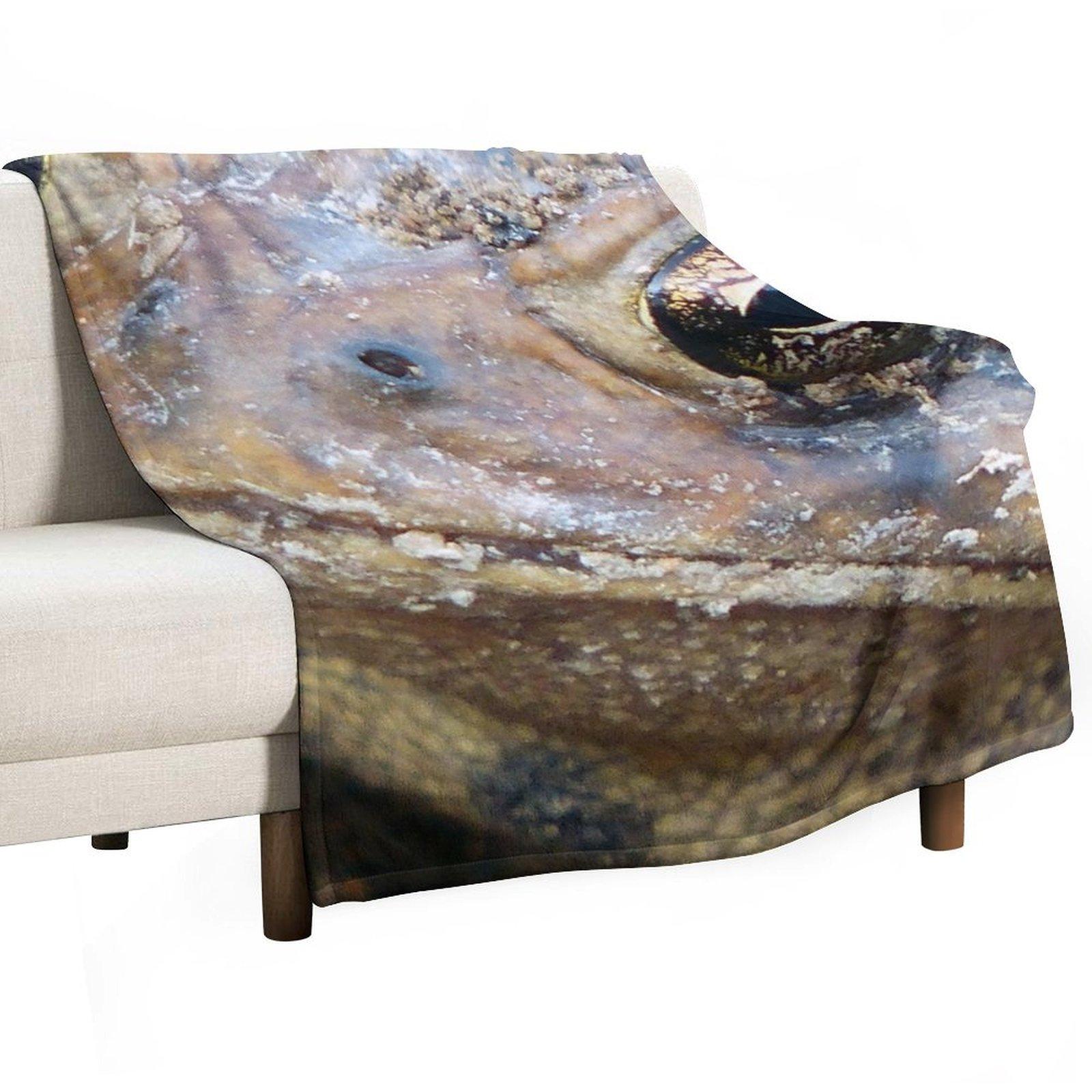 Плед Лягушачья Морда Мягкий Мягкий Плед Переезжающие Диваны Одеяла 30x40in