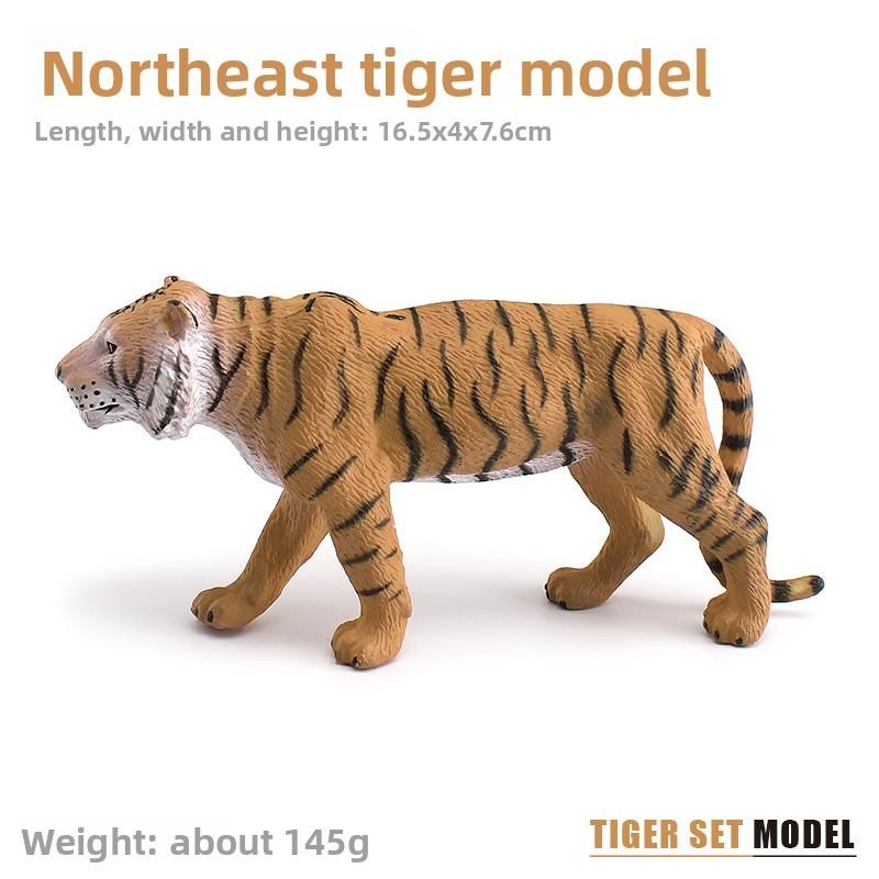 Wild Animal Tiger Model For Kids Educational Decor Pvc Static Figurine