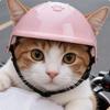 Haustierhelm Aufprallschutz Bequem für Hunde, Katzen, Radfahren, Outdoor Rosa S