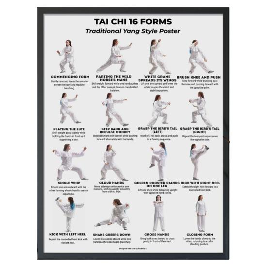 Plakát Tai Chi na židli Bez rámu Plakát s Tai Chi sestavou Jasné vizuální pokyny Tabulka cvičení vsedě pro seniory Začátečníky Jemné židle