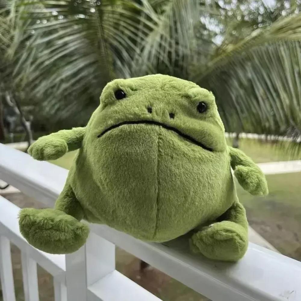 Bambola Nuova 2025 Rana Pioggia Peluche Giocattolo Cartone Animato Rana Bambola Giocattolo Regalo per Bambini