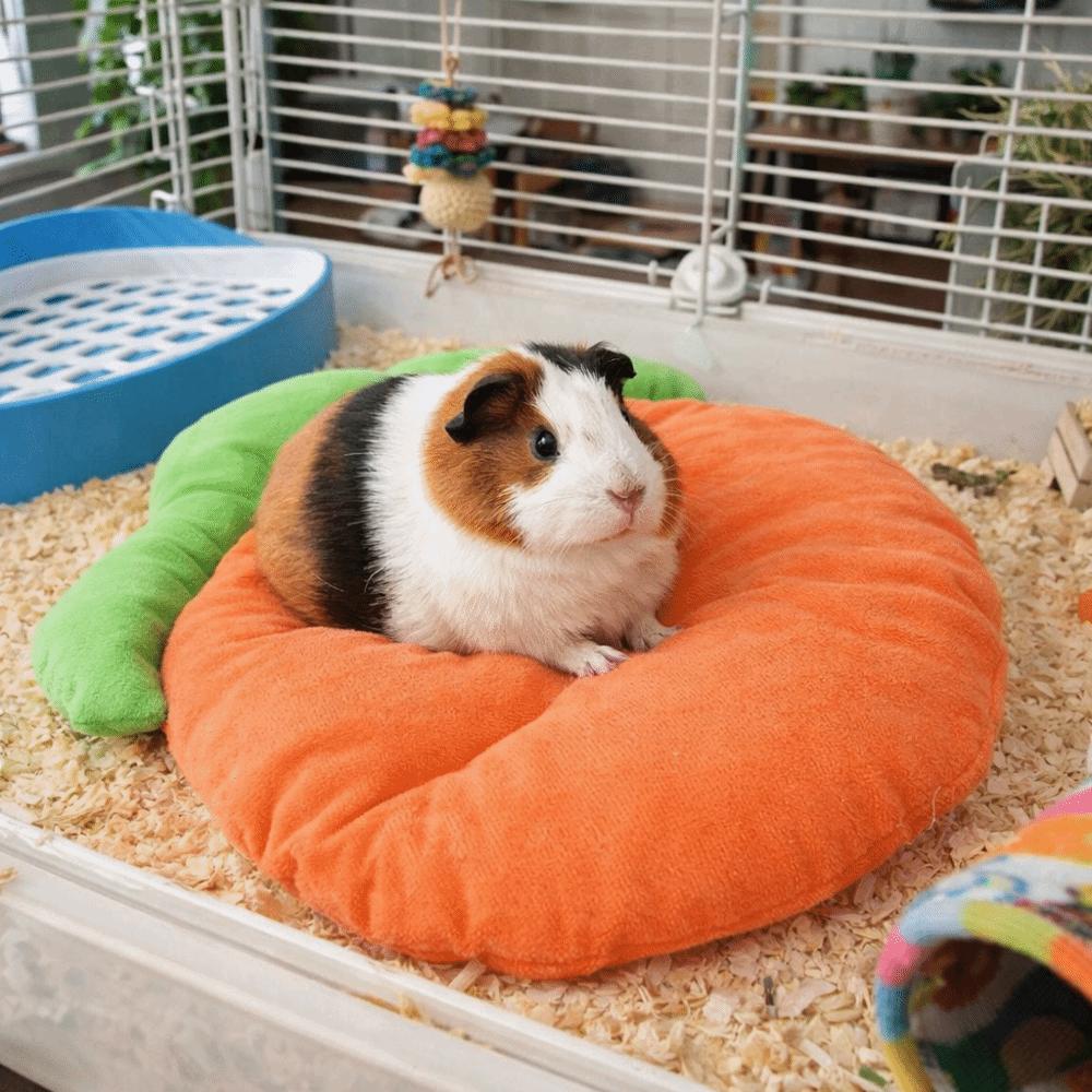 Cartoon Carrot Shaped Rabbit Mat Breathable Kitty Sofa Bed Hamster Cage Bed for Hamster Kitty