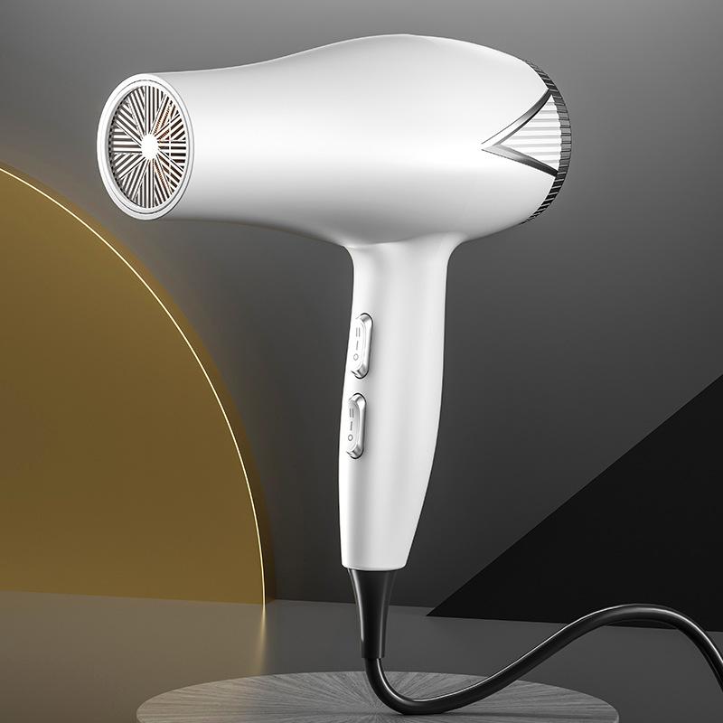 Hair Dryer Hair Salon Special High-power Convenient Hair Dryer Hair Dryer
