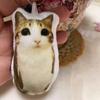 German Kitten Voice Cat Keychain Sound Hanging Decompression Reverses Plush Pendant With Sound Cute Pet Gift Voice Keyring Toy
