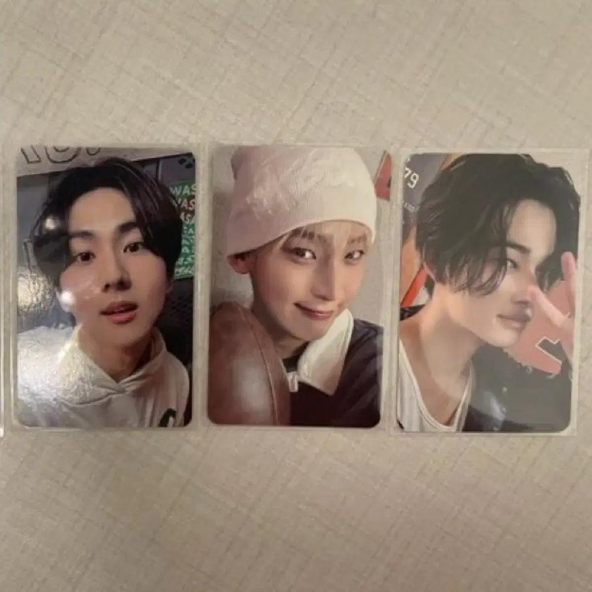 

Enhyphen Goyang Concert Engine Zone Foca