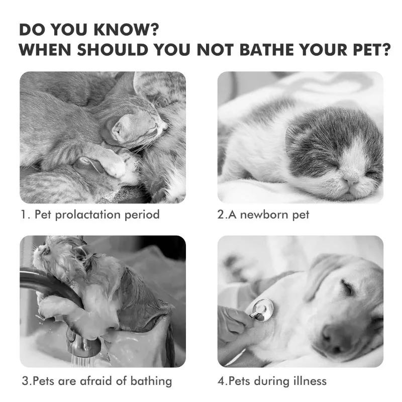 Cat Comb Cat Brush Remove Floating Hair Brush Dog Grooming Tool Pet Leave-in Brush for Cat and Dog Hair Removal Pet Products