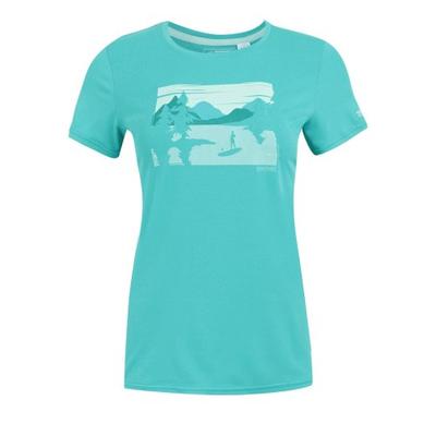 Womens/Ladies Fingal Landscape Stretch T-Shirt