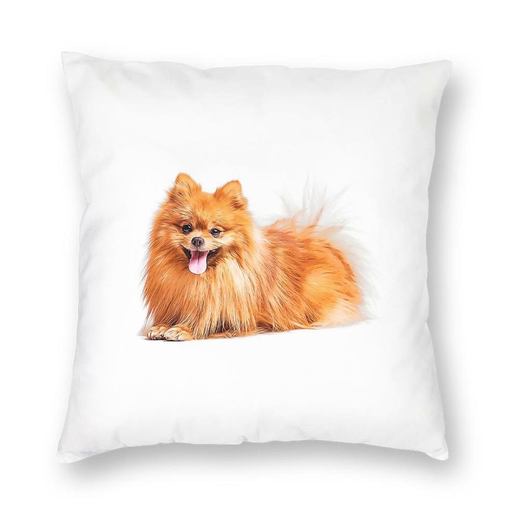 Cute Pomeranian Dog Square Pillowcase Pillow Cover Cushion Throw Pillow for Home Bedroom Car