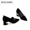 French High Heels Women's 2025 Spring and Autumn New Versatile Black Medium Heel Pointed Single Shoes Work Shoes