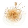 Women's Formal Fascinator Headpiece with Mesh Net Feather Detail Tea Party Styling for Wedding Guest Looks and Parties