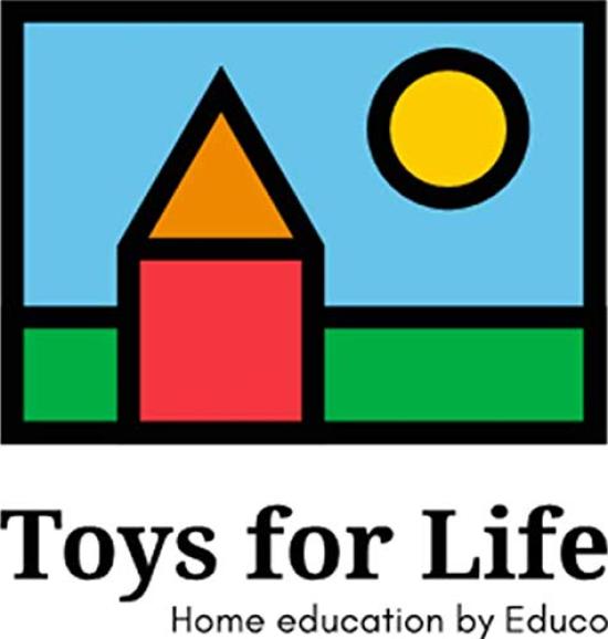 Bornelund Toys for Life Mosaic Design Blocks for ages 3 and up TF0094