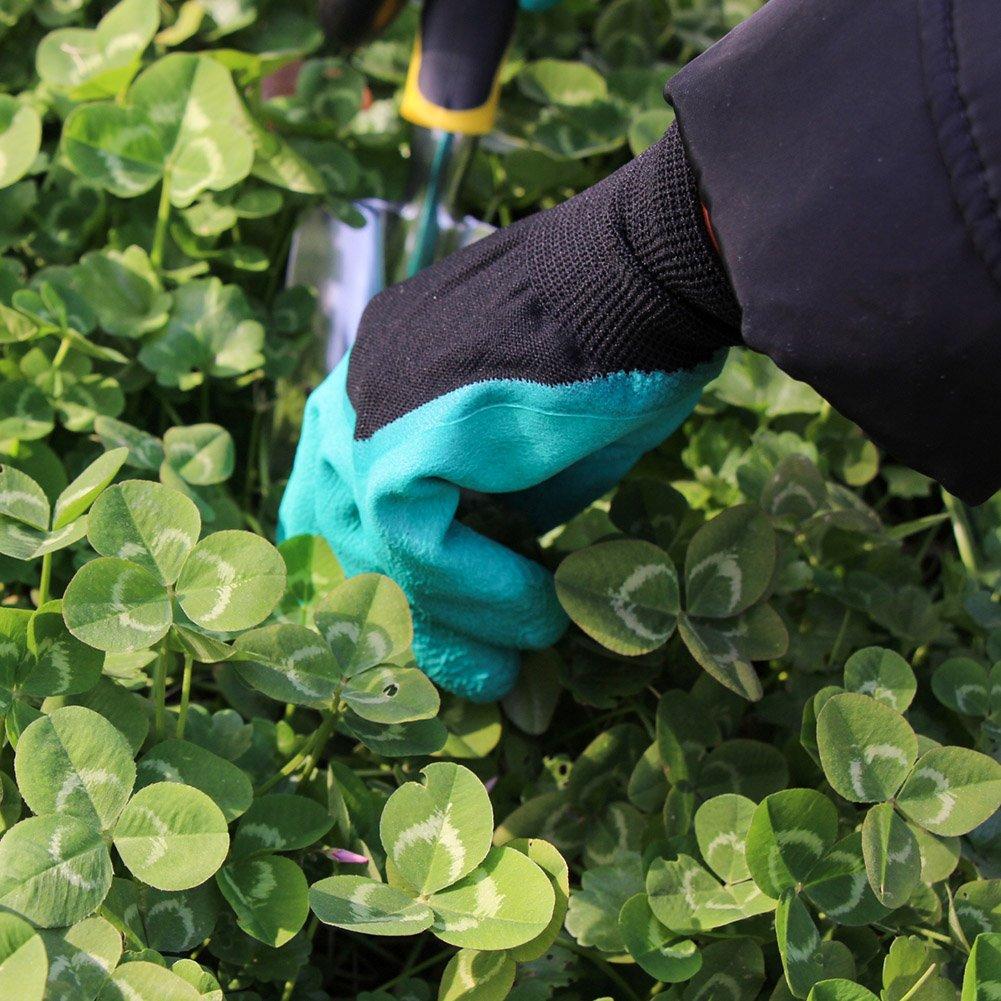 gardening tool including a stainless steel hand transplanting pruning garden and a seed with a storage tote Perfect for and and 13-piece set, shovel,