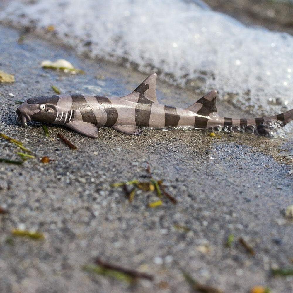 Safari Ltd. Bamboo Shark Figurine - Realistic 5.25 Sea Life Figure - Educational Toy for Boys, Girls and Kids Ages 3+