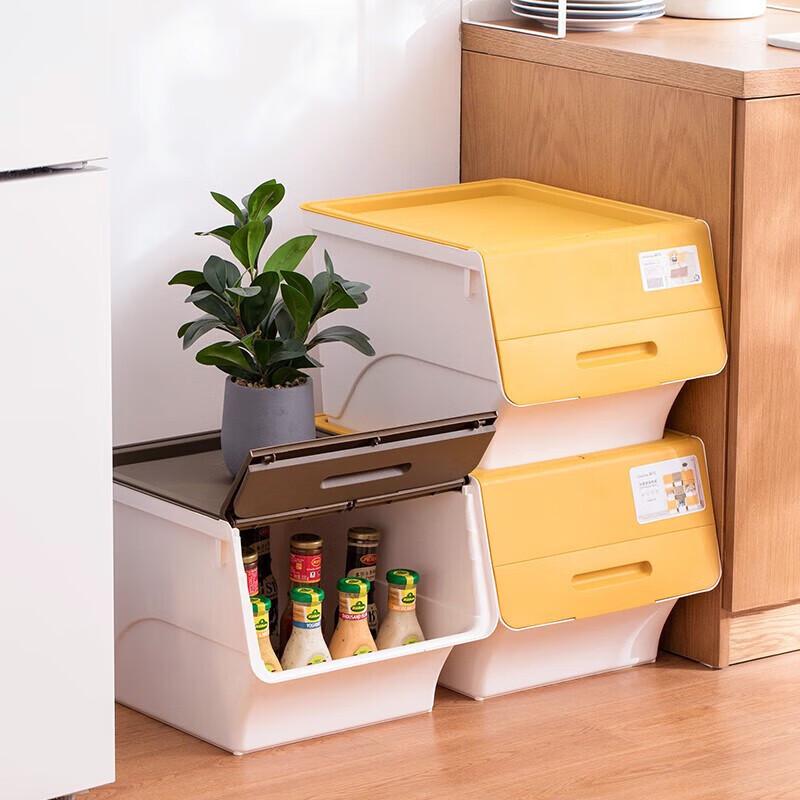 CHAHUA Slanted Flip-Lid Storage Box