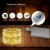 USB 30M 8 Function Copper String Lights LED Fairy Lights Living Room Bedroom Holiday Decoration Lights