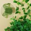 Clips Hook Vegetables Tied Plants Bracket Wall Vines  Fixture Plant Climbing Clip Plant  Support