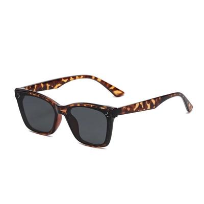 Brillen en accessoires – Zonnebrillen