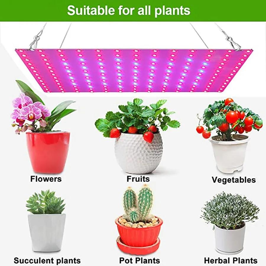 Led Grow Light Full Spectrum Lamp 1000W 1500W Led Plant Light Bulb Greenhouses Indoor Phyto Lamp Grow Lighting US EU UK Plug