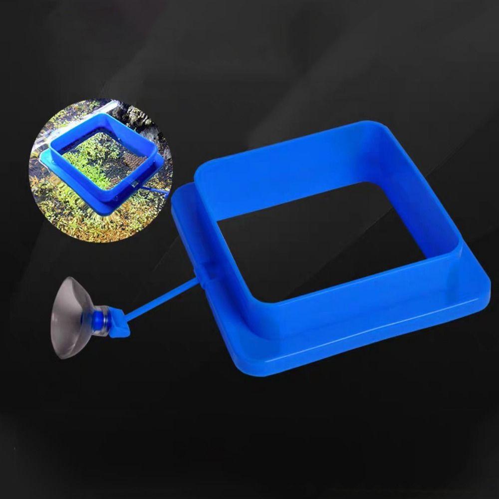 Thicken Floating Feeding Ring Suction Cup Floating Food Tray Fish Feeding Ring  Fish Pond