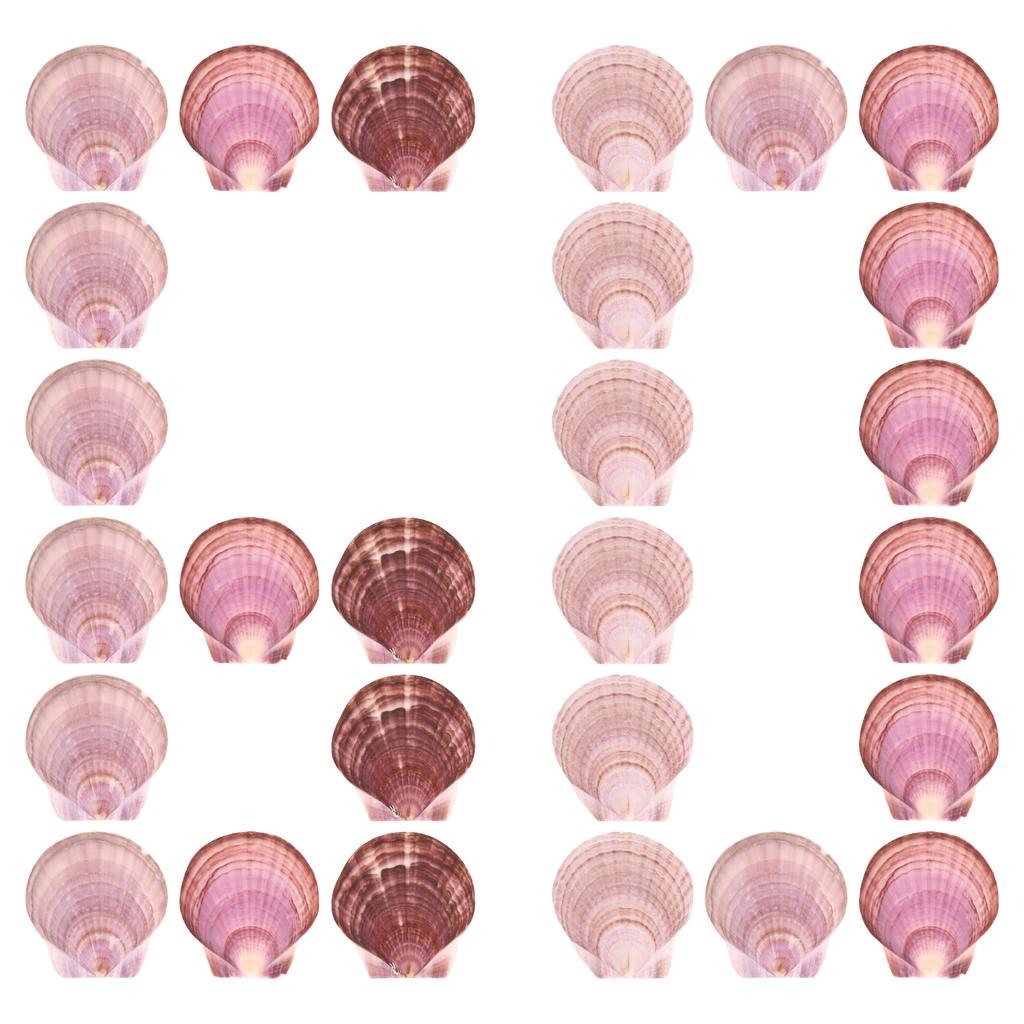 Natural Scallop Shells Shells For Desktop Ornament Handmade DIY Crafts Ocean Themed Party, Painting, and Wedding Decorations