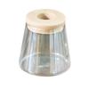 Low Maintenance Hydroponic Planter Tabletop Vase with Breathable Materials for Succulents Bonsais Busy Plant Enthusiasts