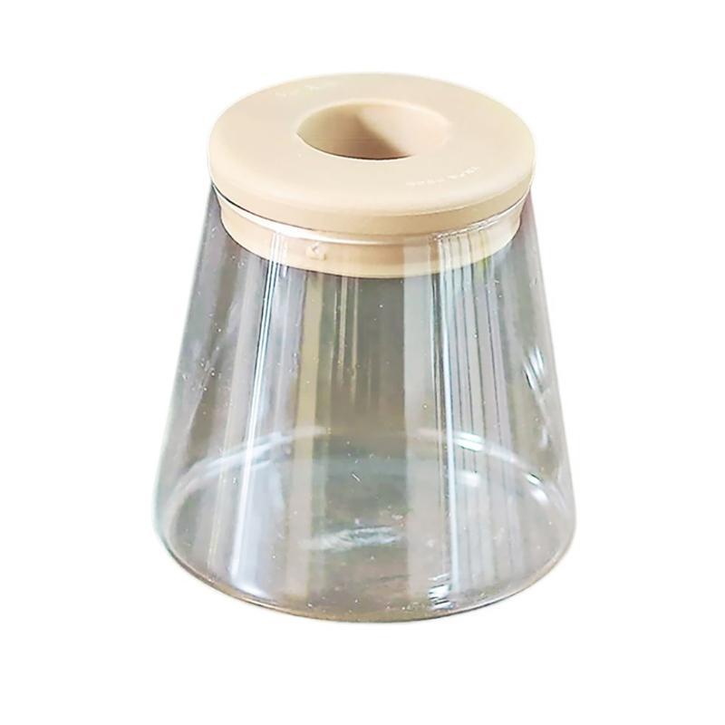 Low Maintenance Hydroponic Planter Tabletop Vase with Breathable Materials for Succulents Bonsais Busy Plant Enthusiasts