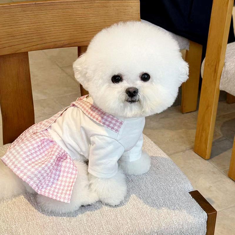 Summer Thin Dog Clothes Teddy Pomeranian Yorkshire Terrier Small Dog Maltese Bichon Pet Princess Dress