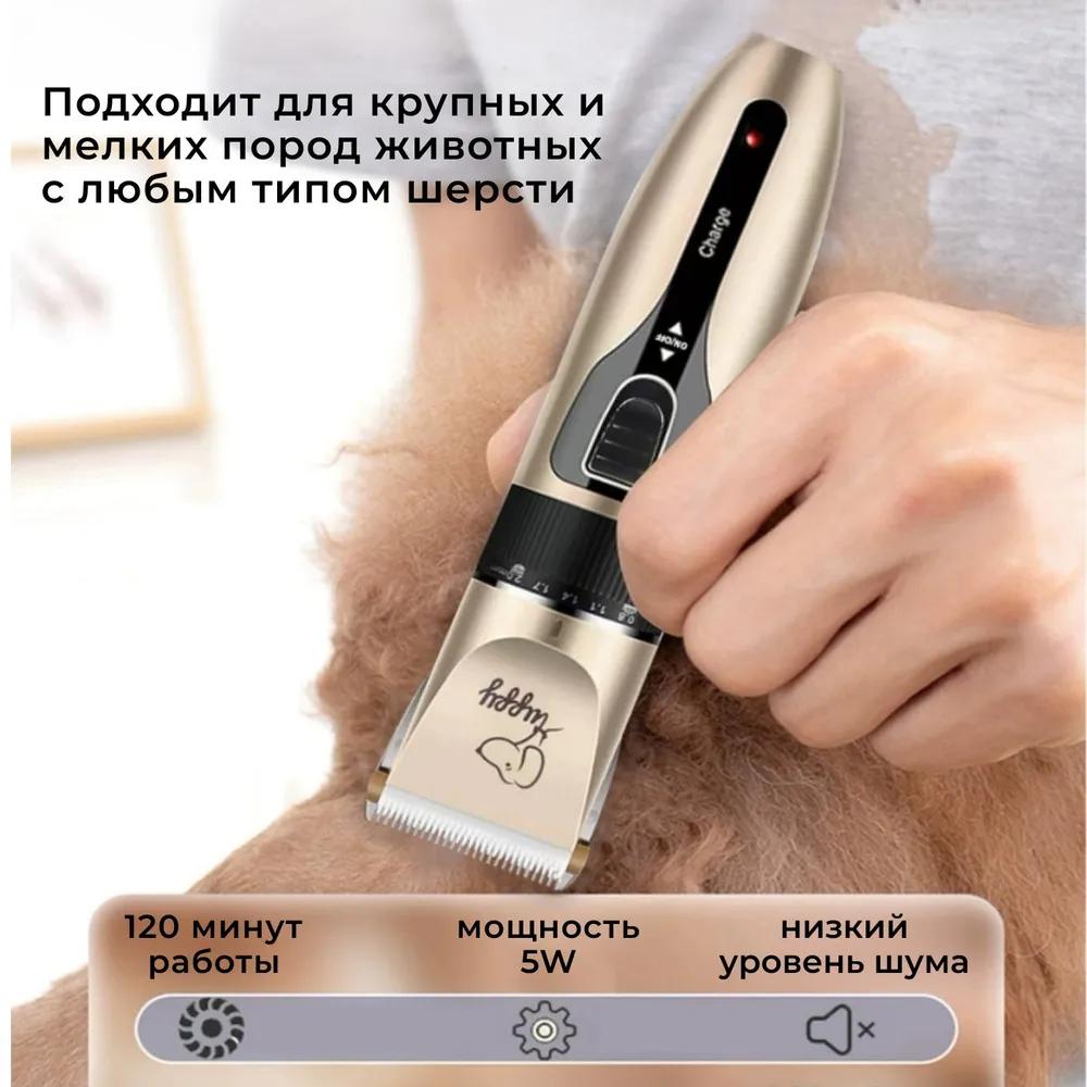 Maszynki fryzjerskie dla psów i kotów, termometry dla zwierząt i maszynki dla szczeniąt.