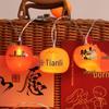 Chinese Festive LED Persimmon & Apple Decorative Lights