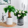 Vasi e fioriere da giardino – Contenitori per piantine