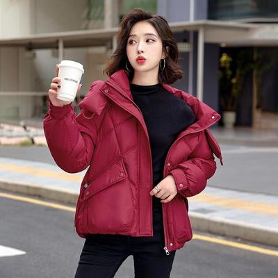 Damen Winter Parka Verdicken Warme Parka Winterjacken Mit Kapuze Verdicken Warme Parka Parka Winterjacken Mit Kapuze Parka Verdicken Warme Parka Verdicken Warme Parka