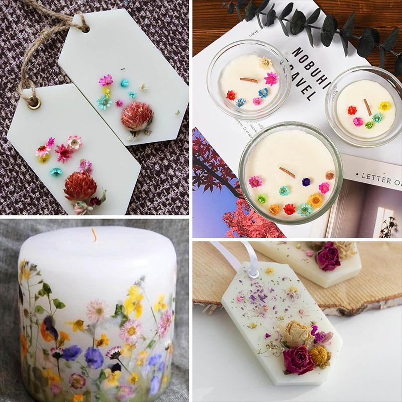 1Bag Dried Flowers for Art Craft Candle Soap Making Material Wedding Birthday Party DIY Gift Home Decoration Mini Pressed Flower