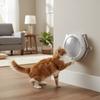 Magnetic Cat Flap Door Bidirectional Opening Plastic Pet Automatic Door With Cat Ears 4 Locking Modes Cat Entry Exit Door