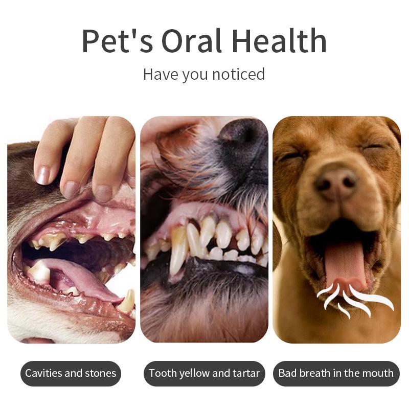 5Pcs Pet Silicone Finger Cots Toothbrush Cats Dogs Brushing Dog Accessories Pet Teeth Oral Cleaning Products In Addition Perros