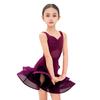 Professional Latin Dance Dress Purple Samba Dancing Ballroom Dance Costume Rumba Dancing Elegant Stage Costume Children Girls