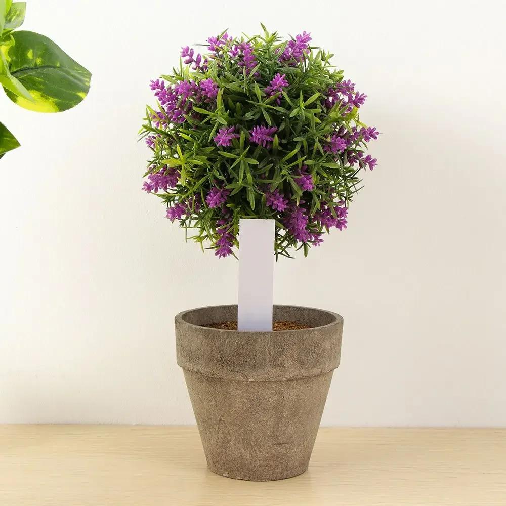 100Pcs Reusable Classification Marker Waterproof Seeds Plants Label Seedling Tags Garden Tools Nursery Pot