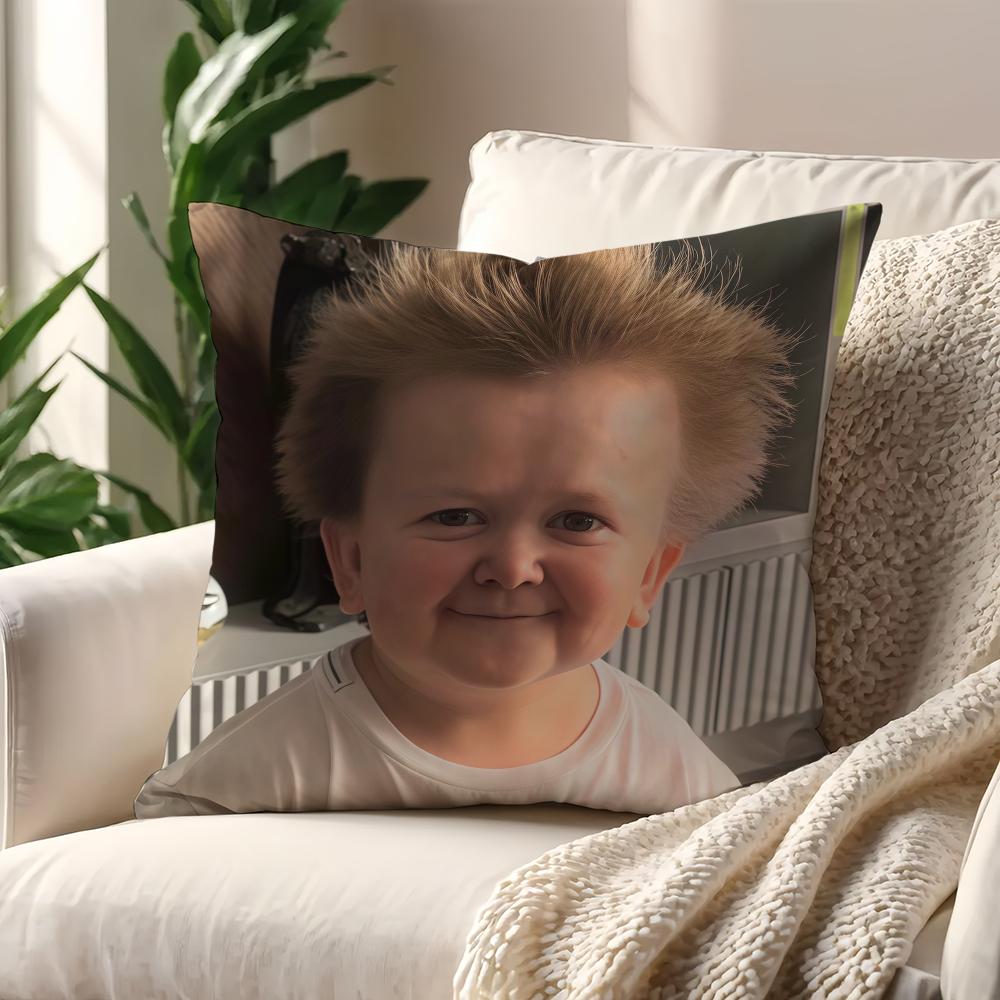 Funny HHasbulla MMagomedovS cushion cover For Pillow Printing Sofa Decoration Home Room Coffee Shop Office Nordic Simplicity