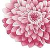 Flower Shape Floor Mat Floral Living Room Rug Non Slip Bath Mat Dahlia Rose Peony Lotus Rug for Bathroom Bedroom Dorm Nursery Kitchen