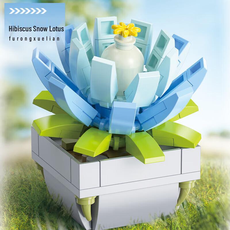 Femibox Creative Building Block Kits