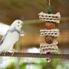 Parrot Cage Toy Rich Nutrition Bite Resistant Eco-friendly Natural Corn Husk Grass Chewing Skewer Toy Bird Supplies
