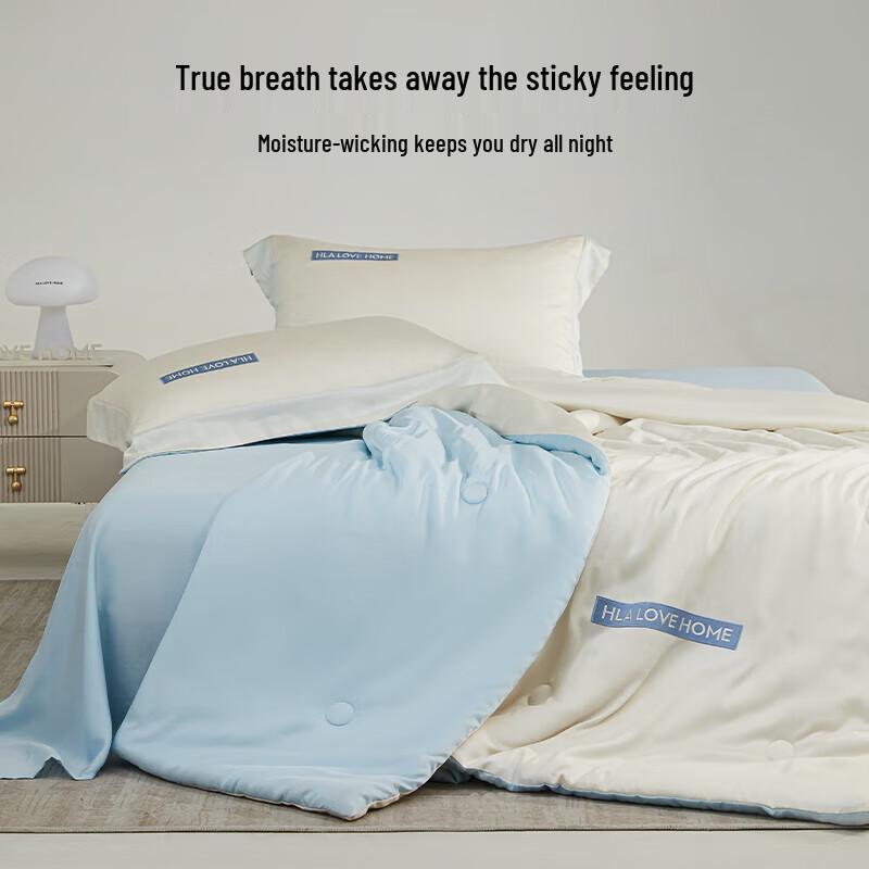 Heilan Home A-Class Antibacterial Ice Silk Summer Quilt