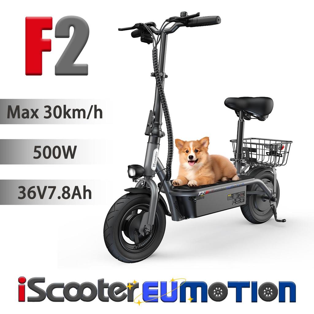 iScooter F2 City Cargo E-Scooter 500W, 36V7.8Ah, Up To 30km/h, Max Load 120kg, 10" Electric Utility Scooter for Market Shopping and Short City Rides