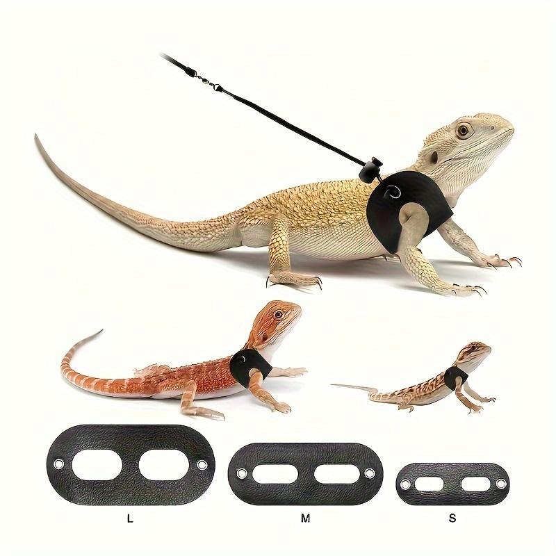 4Pcs Small Reptile Pet Leash, Large, Medium and Small 3 Sizes of Leash, 120cm Pet Leash Set