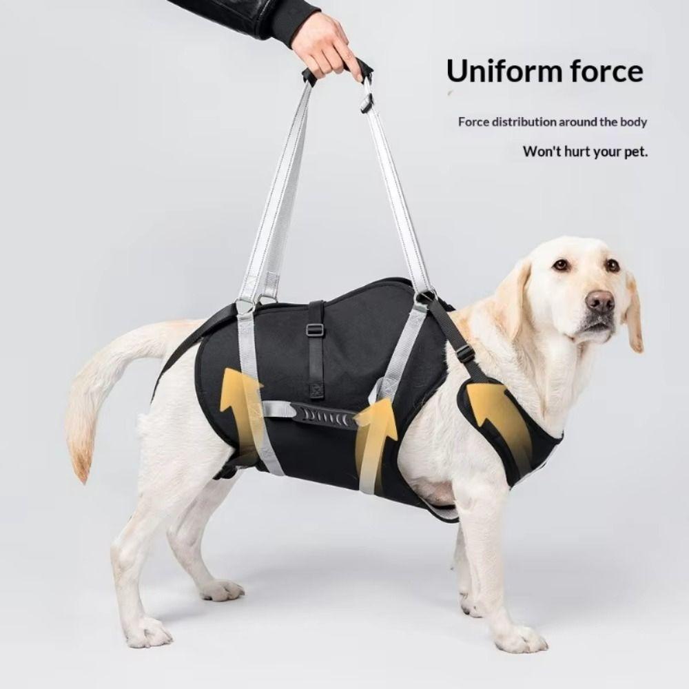 Adjustable Large Dog Lift Harness Reflective Support Recovery Sling Dog Sling Carrier Travel